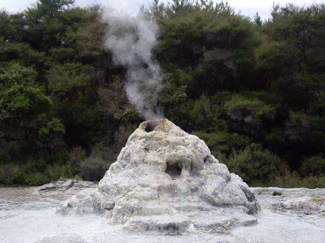 The Lady Knox Geyser about to explode.