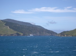 View of Queen Charlotte Sound from the ferry