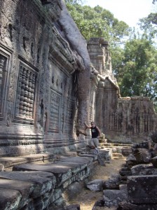 A tree trunk hangs over the walls of Ta Prohm