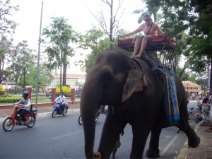 Kenna riding an elephant through traffic