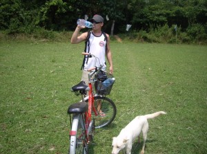 Biking through a rice paddy
