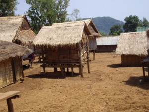 The Hmong village - all houses are built on stilts, as opposed to Khmu villages which are all built on land.